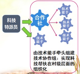 天津市科技幫扶信息服務(wù)平臺 專業(yè)信息技術(shù)咨詢服務(wù)助力發(fā)展
