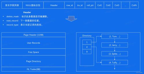 數(shù)據(jù)庫(kù)存儲(chǔ) 現(xiàn)代數(shù)據(jù)處理與存儲(chǔ)服務(wù)的核心支柱